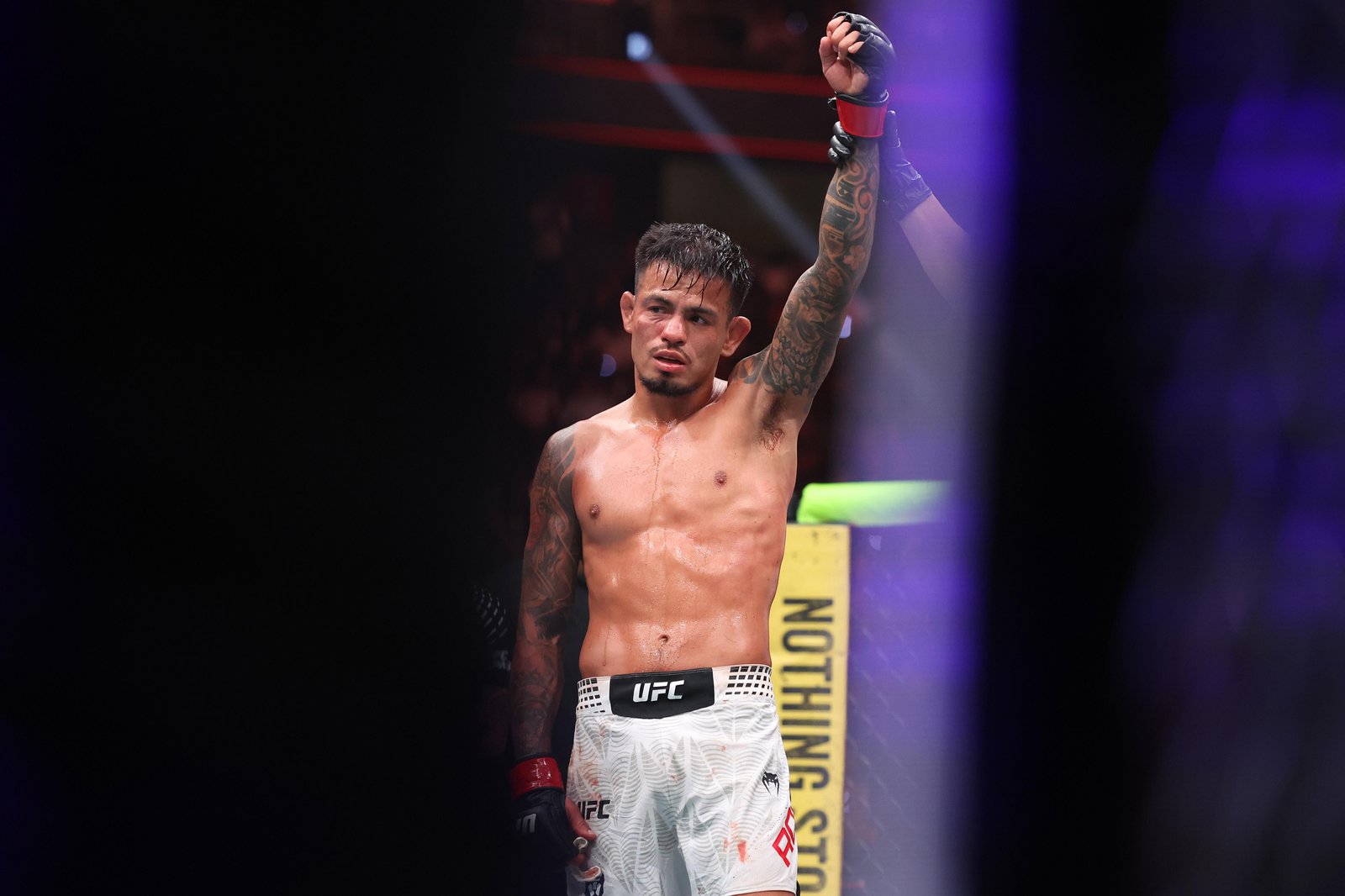 UFC 329 video: Brandon Royval taps Lone’er Kavanagh with rear-naked choke after wild back-and-forth fight — Federação de Jiu-Jitsu