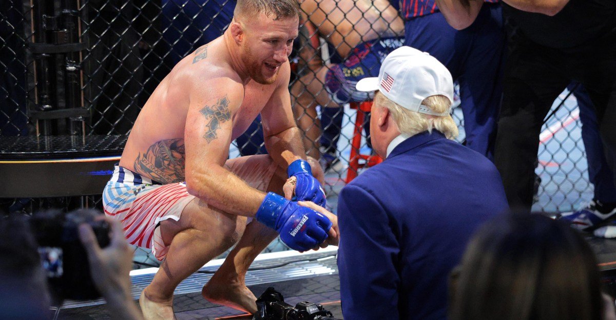Trump exalta lutadores do UFC como 'os homens mais fortes e resistentes da Terra' — Federação de Jiu-Jitsu
