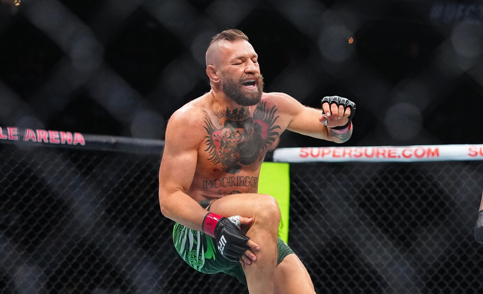 Atualização sobre lesão de Conor McGregor: Atleta milionário 'terá resultados de escaneamento da perna' hoje | UFC 329 — Federação de Jiu-Jitsu