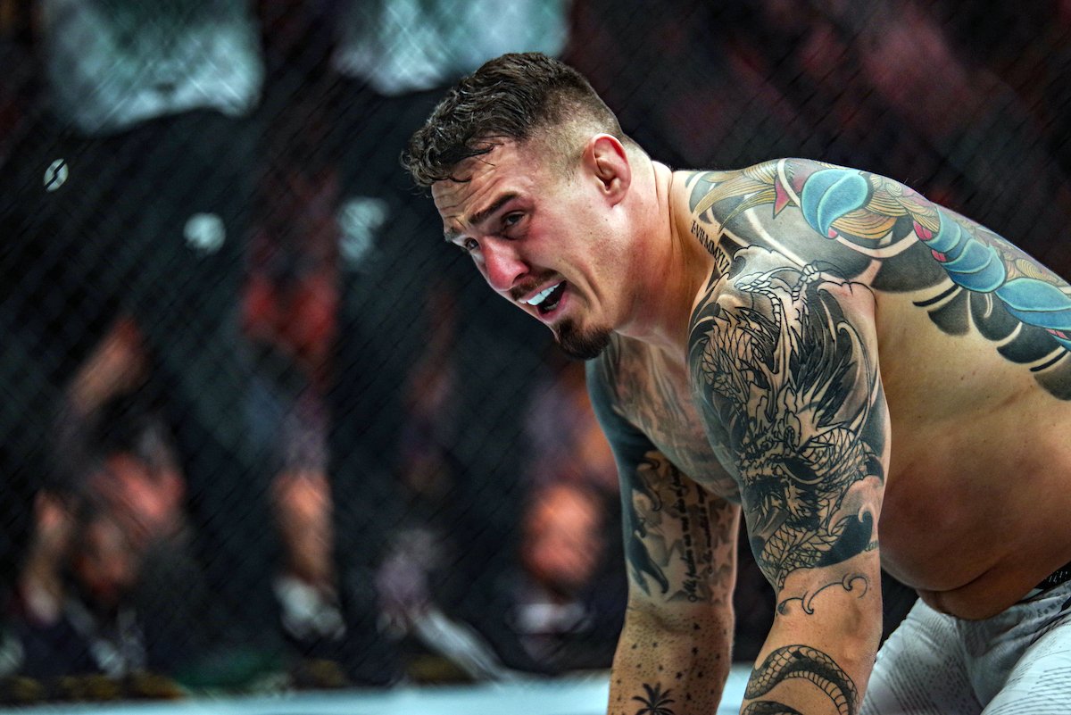 Ex-campeão do UFC, Cejudo faz campanha para Tom Aspinall abrir mão do cinturão — Federação de Jiu-Jitsu, Brazilian Jiu-Jitsu Federation