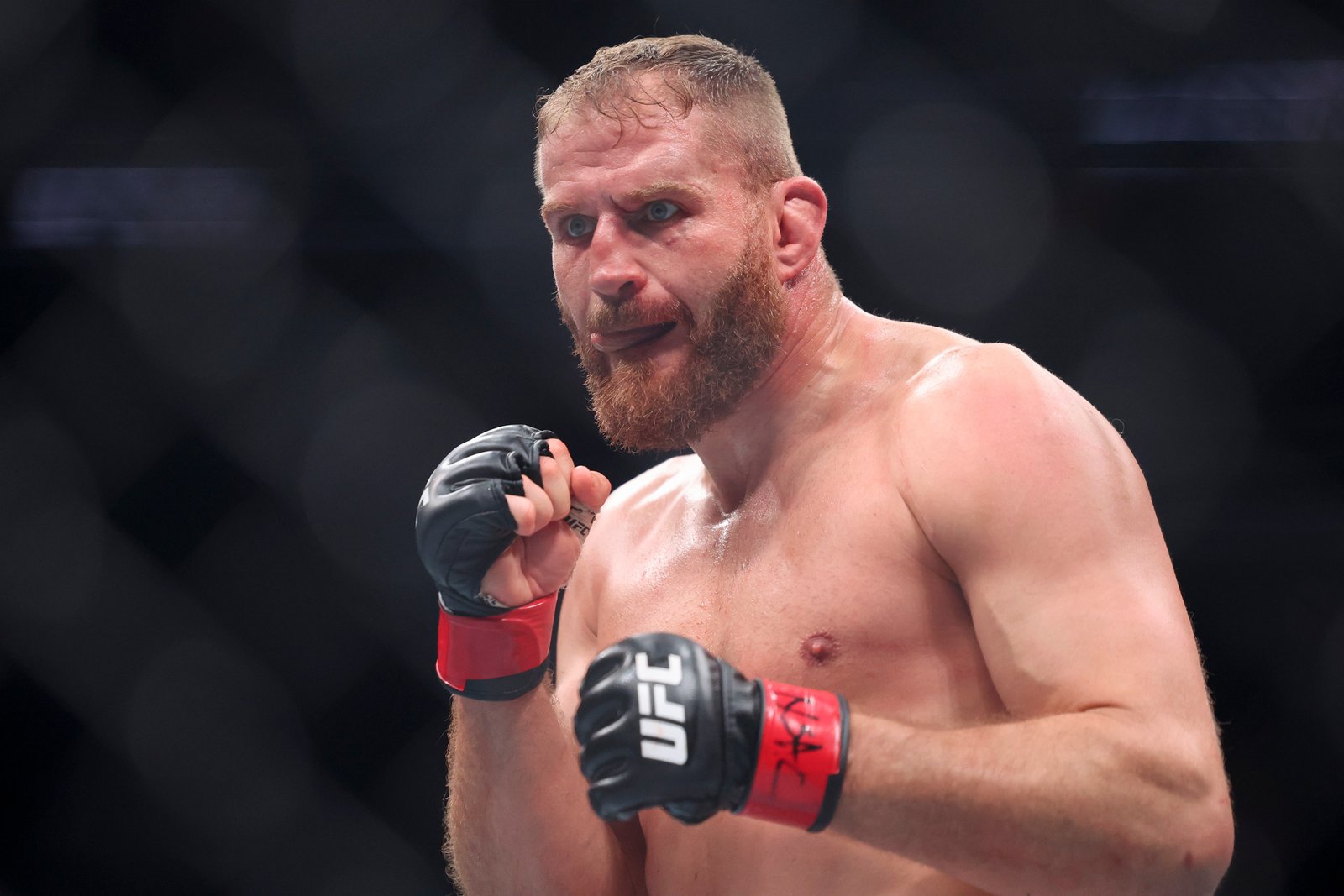 Prospect em ascensão entra contra ex-campeão no novo co-evento principal do UFC Belgrado — Federação de Jiu-Jitsu
