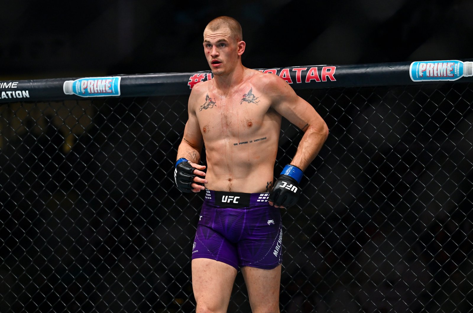 UFC 330: revelado o pôster oficial de Makhachev x Machado Garry — Federação de Jiu-Jitsu