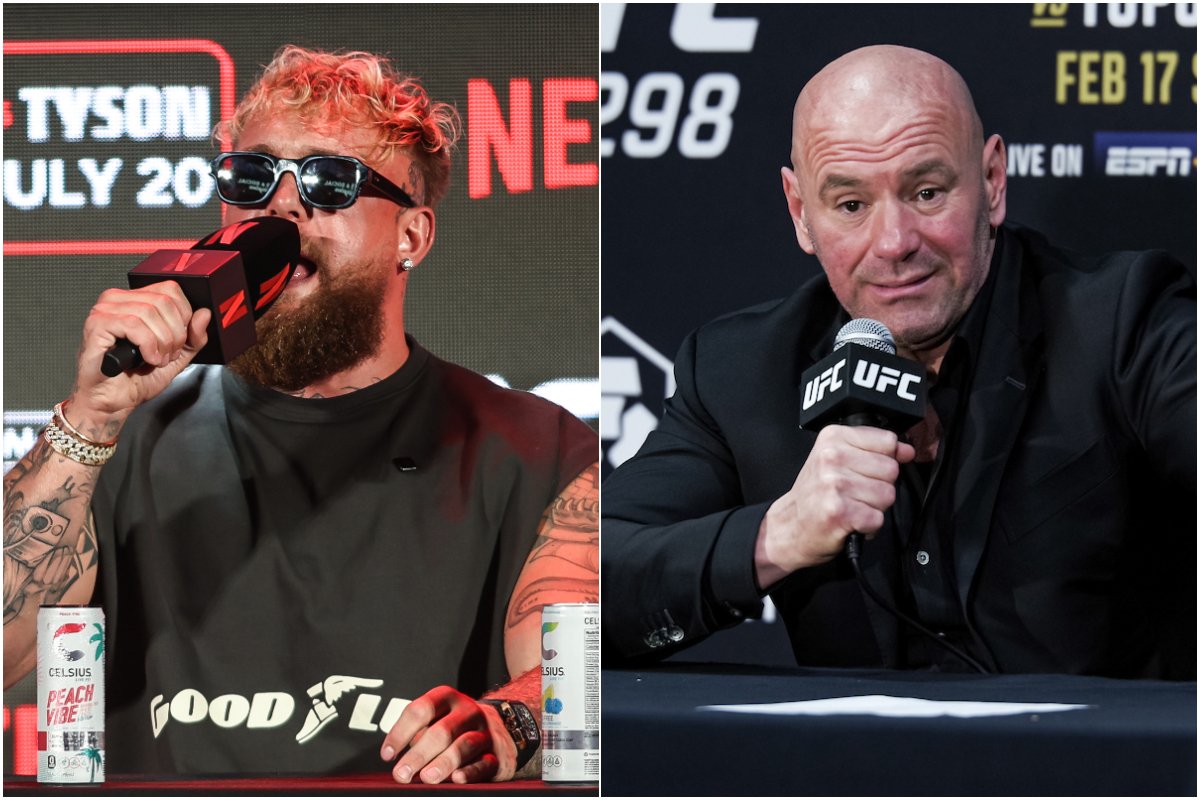 Guerra declarada! Jake Paul e Dana White trocam farpas após fusão entre PFL e MVP — Federação de Jiu-Jitsu, Brazilian Jiu-Jitsu Federation