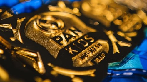 Principales Academias para Mostrar Talento de Próxima Generación en Pan Kids — Federación de Jiu-Jitsu, Brazilian Jiu-Jitsu Federation