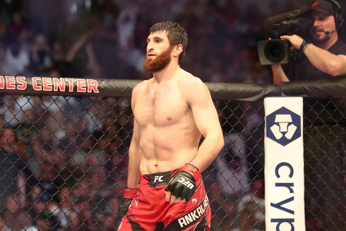 UFC Abu Dhabi: Magomed Ankalaev vence Bogdan Guskov em duelo morno — Federação de Jiu-Jitsu, Brazilian Jiu-Jitsu Federation