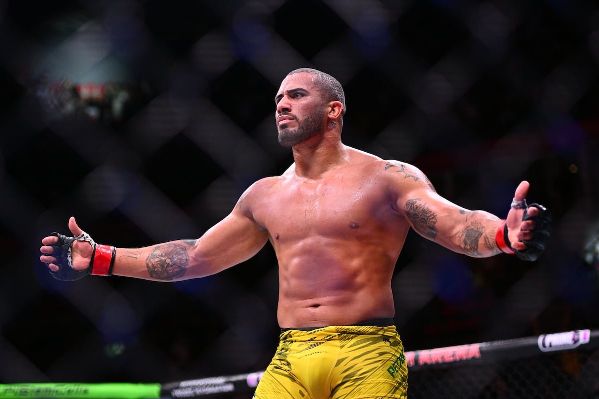 Vitor Petrino exalta nova fase dos pesos-pesados: “Vai voltar a ser a categoria de ouro do UFC” — Federação de Jiu-Jitsu, Brazilian Jiu-Jitsu Federation